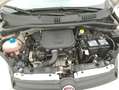 Fiat Panda Hybrid City Life 1.0 Mild Hybrid 70CV Bianco - thumbnail 13