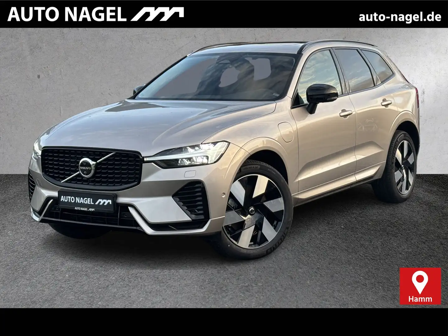 Volvo XC60 XC60 Recharge T8 Plus Dark PANO|LEDER|360CAM| Beige - 1