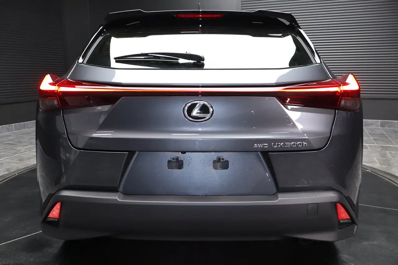 Lexus UX снимка Lexus UX