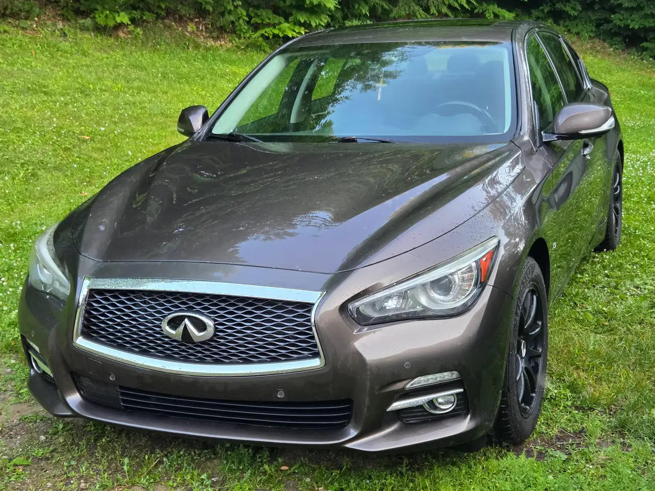 Infiniti Q50 снимка Infiniti Q50