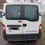 Opel Movano Movano L2H2 2,5 CDTI 3,5t HD mittel Camper - thumbnail 3