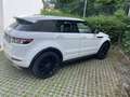 Land Rover Range Rover Evoque SD4 Aut. Dynamic - thumbnail 2