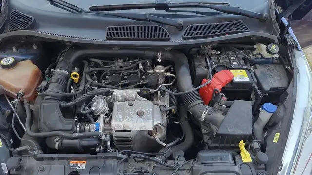 Ford Fiesta view 15