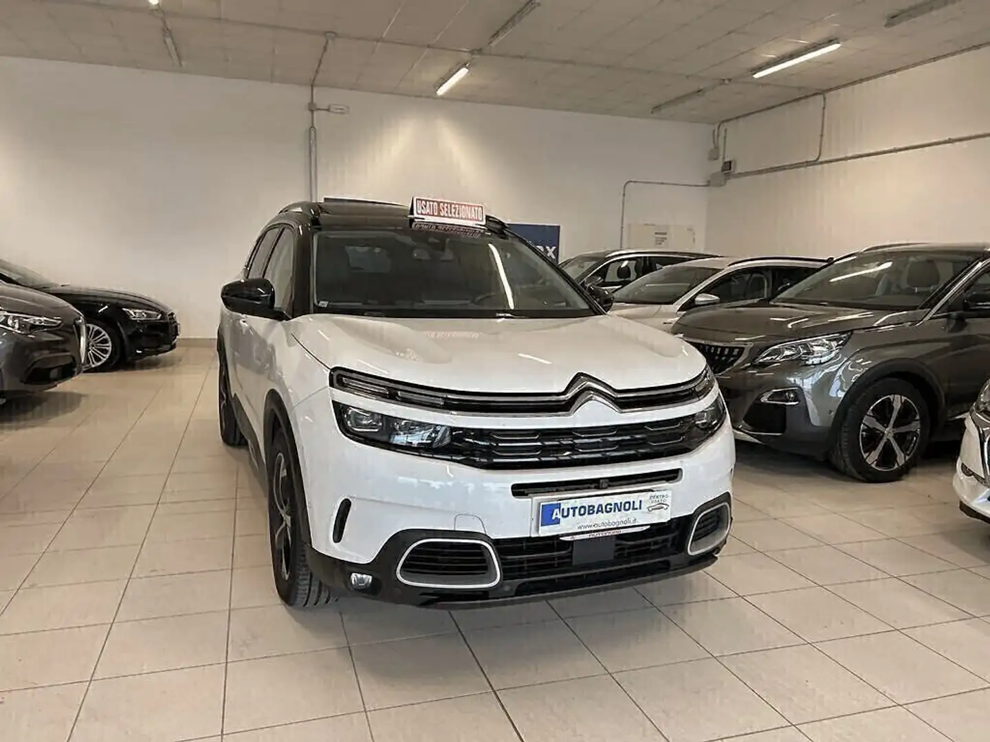 Citroen C5 Aircross SHINE BlueHDi 180 EAT8 TETTO PELLE Blanc - 2