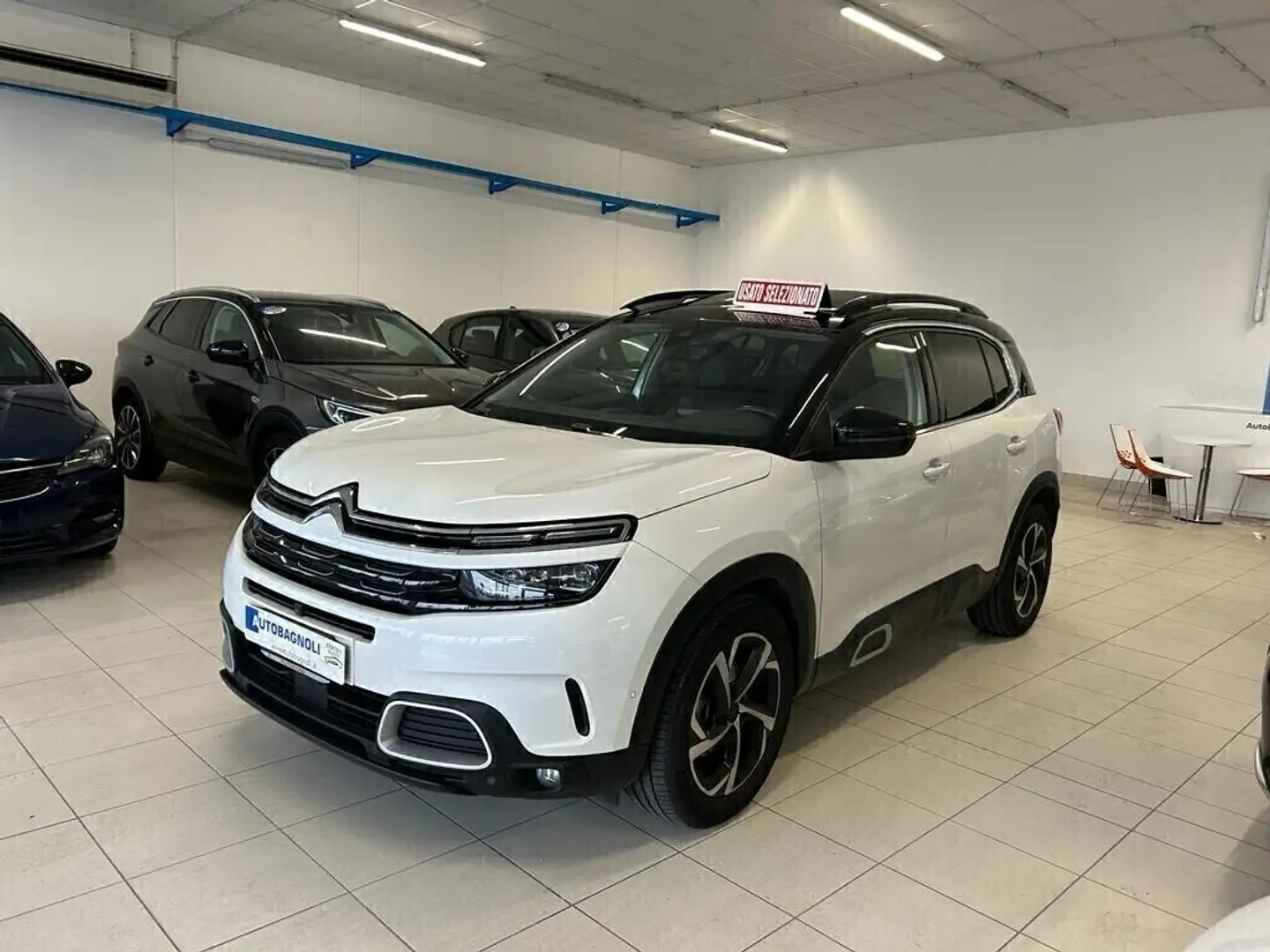 Citroen C5 Aircross SHINE BlueHDi 180 EAT8 TETTO PELLE Blanc - 1