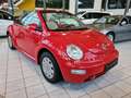 Volkswagen New Beetle Cabriolet 1.4 Radio/CD Sithz. Rouge - thumbnail 2