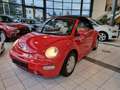 Volkswagen New Beetle Cabriolet 1.4 Radio/CD Sithz. Piros - thumbnail 6