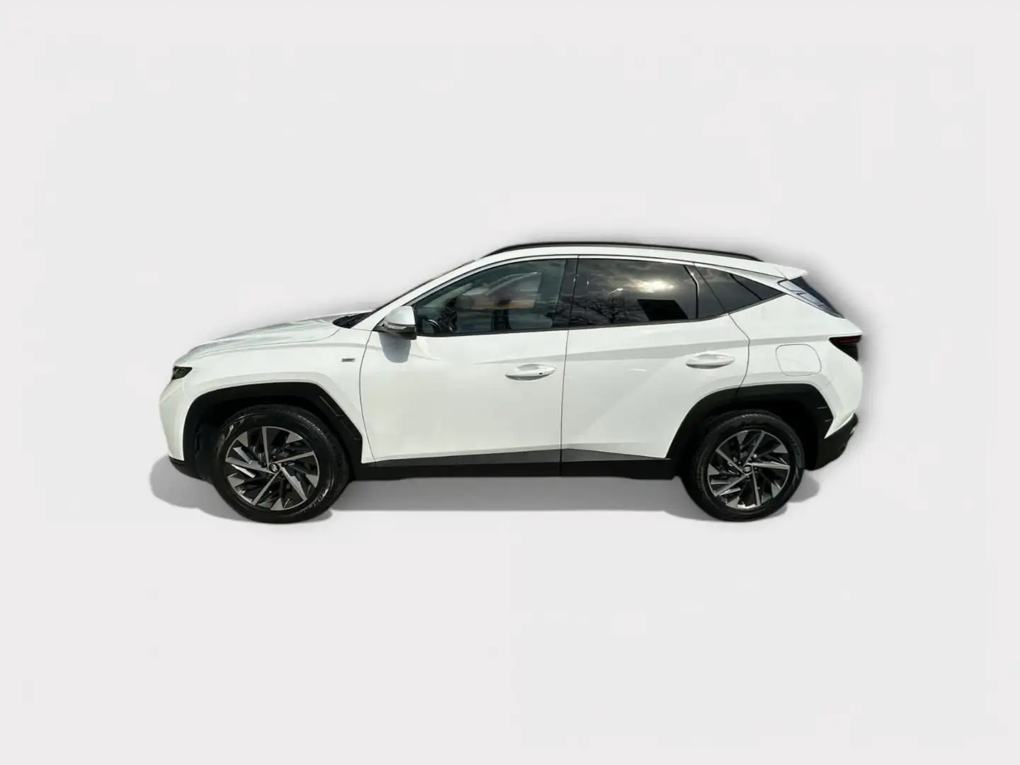 Hyundai TUCSON Tucson 1.6 t-gdi 48V Xline 2wd dct Bianco - 2