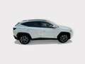 Hyundai TUCSON Tucson 1.6 t-gdi 48V Xline 2wd dct Bianco - thumbnail 6
