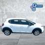 Citroen C3 C3 BlueHDi 100 S&S Feel Bianco - thumbnail 4