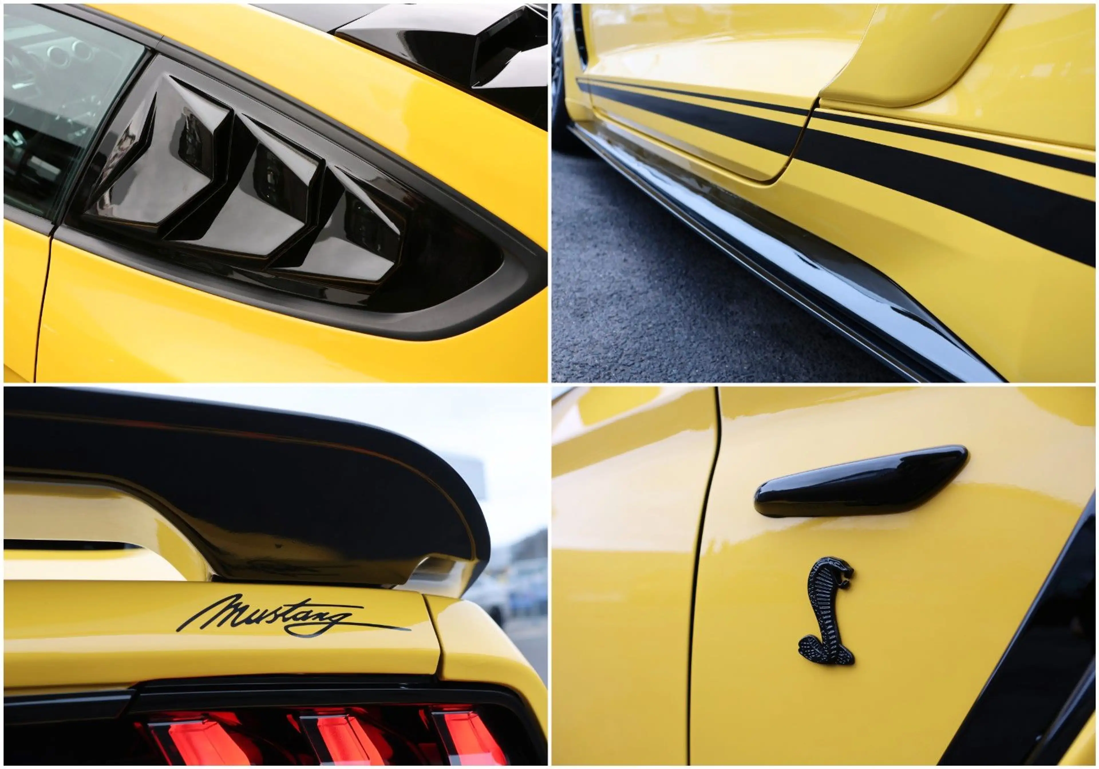 Ford Mustang 2.3 Shelby Optik/LED/CarPlay/KAMERA/R19 — photo 9