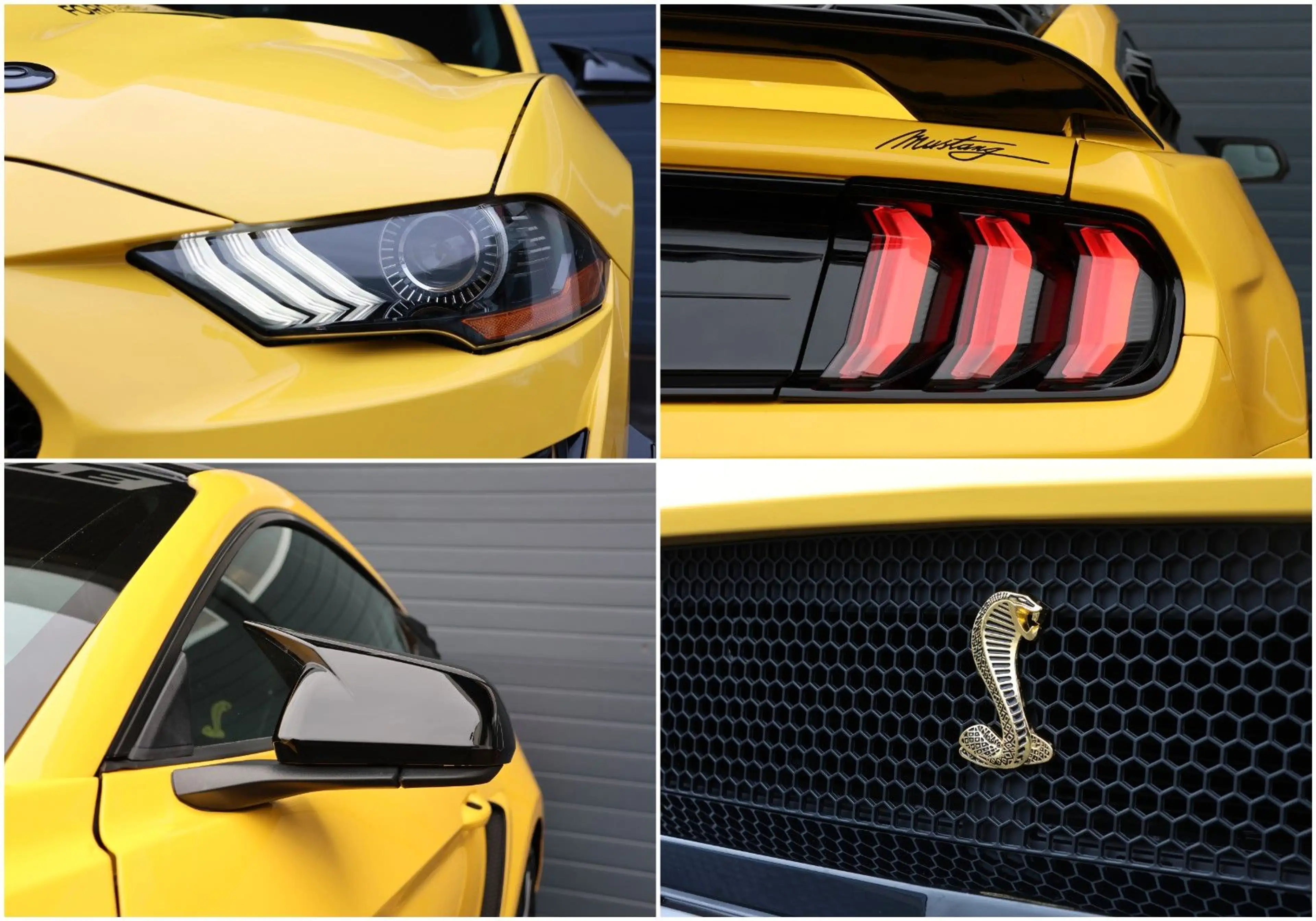 Ford Mustang 2.3 Shelby Optik/LED/CarPlay/KAMERA/R19 — photo 12