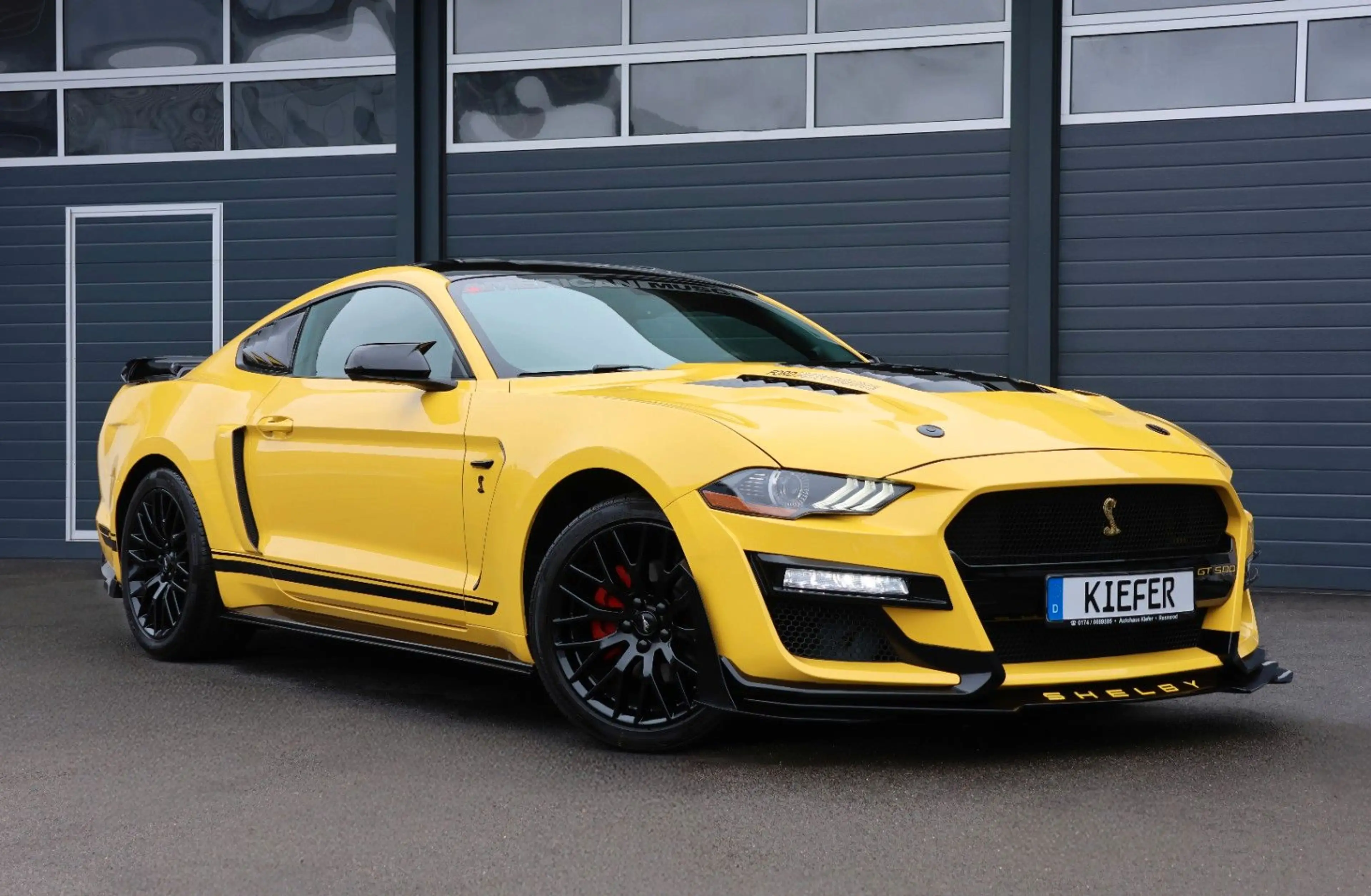 Ford Mustang 2.3 Shelby Optik/LED/CarPlay/KAMERA/R19