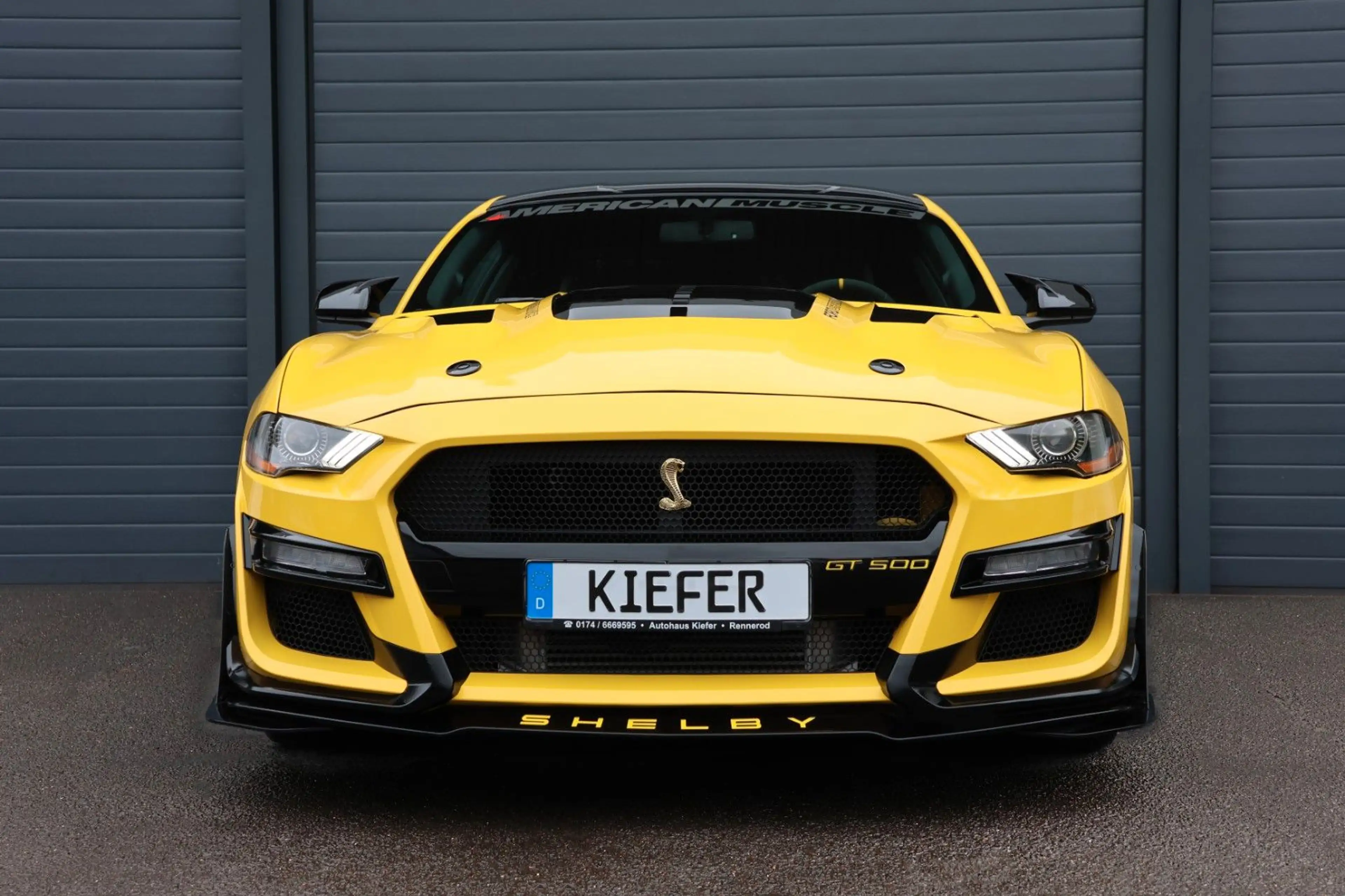 Ford Mustang 2.3 Shelby Optik/LED/CarPlay/KAMERA/R19 — photo 2
