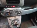 Fiat Panda Panda 1.0 firefly hybrid s Grau - thumbnail 11