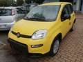 Fiat Panda 1.0 FireFly S&S Hybrid Pandina Giallo - thumbnail 5
