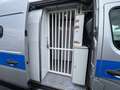 Renault Master III L3H2*GEFANGENENTRANSPORT*PRISONER*TÜV Grau - thumbnail 29