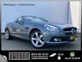 Mercedes-Benz SLK 250 204pk Leer Airscarf Clima Cruise Panoramadak Gris - thumbnail 1