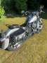 Harley-Davidson Fat Boy FLSTF Softail mit Alligator Sitz Plateado - thumbnail 1