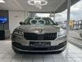 Skoda Karoq LED* Anhänger*SZH*Tempomat Beige - thumbnail 2