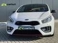 Kia ProCeed / pro_cee'd 1.6 GT 204 PK, Pano, Nwe. Michelin, Blanc - thumbnail 2