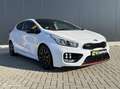 Kia ProCeed / pro_cee'd 1.6 GT 204 PK, Pano, Nwe. Michelin, Blanc - thumbnail 5