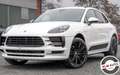 Porsche Macan 2.0 Aut/Pano/Matrix/BOSE/Navi/21 Bianco - thumbnail 1