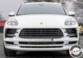 Porsche Macan 2.0 Aut/Pano/Matrix/BOSE/Navi/21 Bianco - thumbnail 2