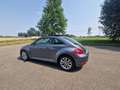 Volkswagen Beetle Maggiolino 1.2 TSI 105cv Grey - thumbnail 7