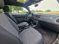 Volkswagen Beetle Maggiolino 1.2 TSI 105cv Grey - thumbnail 13