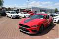 Ford Mustang Mach 1  Fastback Autom. / Navi + Kamera + FGS Rojo - thumbnail 3