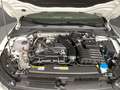 Volkswagen Golf VIII Goal (AHK.NAVI.DAB.PDC.ACC.SHZ) 1.5 TSI Weiß - thumbnail 16