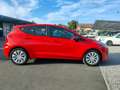 Ford Fiesta VII 2018 5p 5p 1.1 Titanium 85cv NEOPATENTATI Rot - thumbnail 7