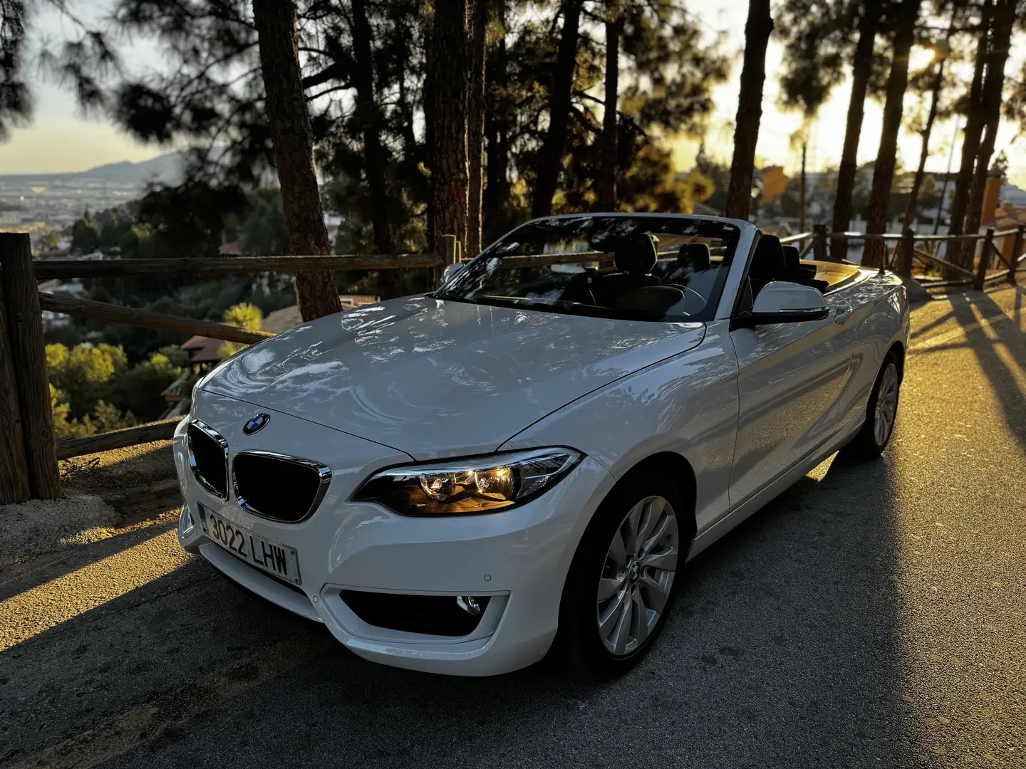BMW 218 218i Cabrio Advantage - 2