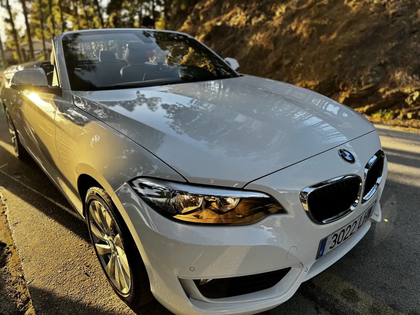 BMW 218 218i Cabrio Advantage - 1