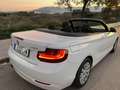 BMW 218 218i Cabrio Advantage - thumbnail 10
