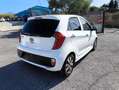 Kia Picanto 1.0 Sporty Glam 69cv 5p PREZZO REALE! TAGLIANDATA Bianco - thumbnail 6