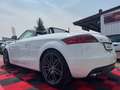 Audi TT Coupe/Roadster 2.0 TDI Roadster quattro Blanc - thumbnail 19