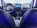 Ford EcoSport Titanium Aut. 1.HD CAM NAVI DAB AHK KEY Schwarz - thumbnail 11