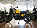 Royal Enfield Bear 650 Lieferservice, sofort lieferbar Galben - thumbnail 5