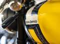 Royal Enfield Bear 650 Lieferservice, sofort lieferbar Galben - thumbnail 25