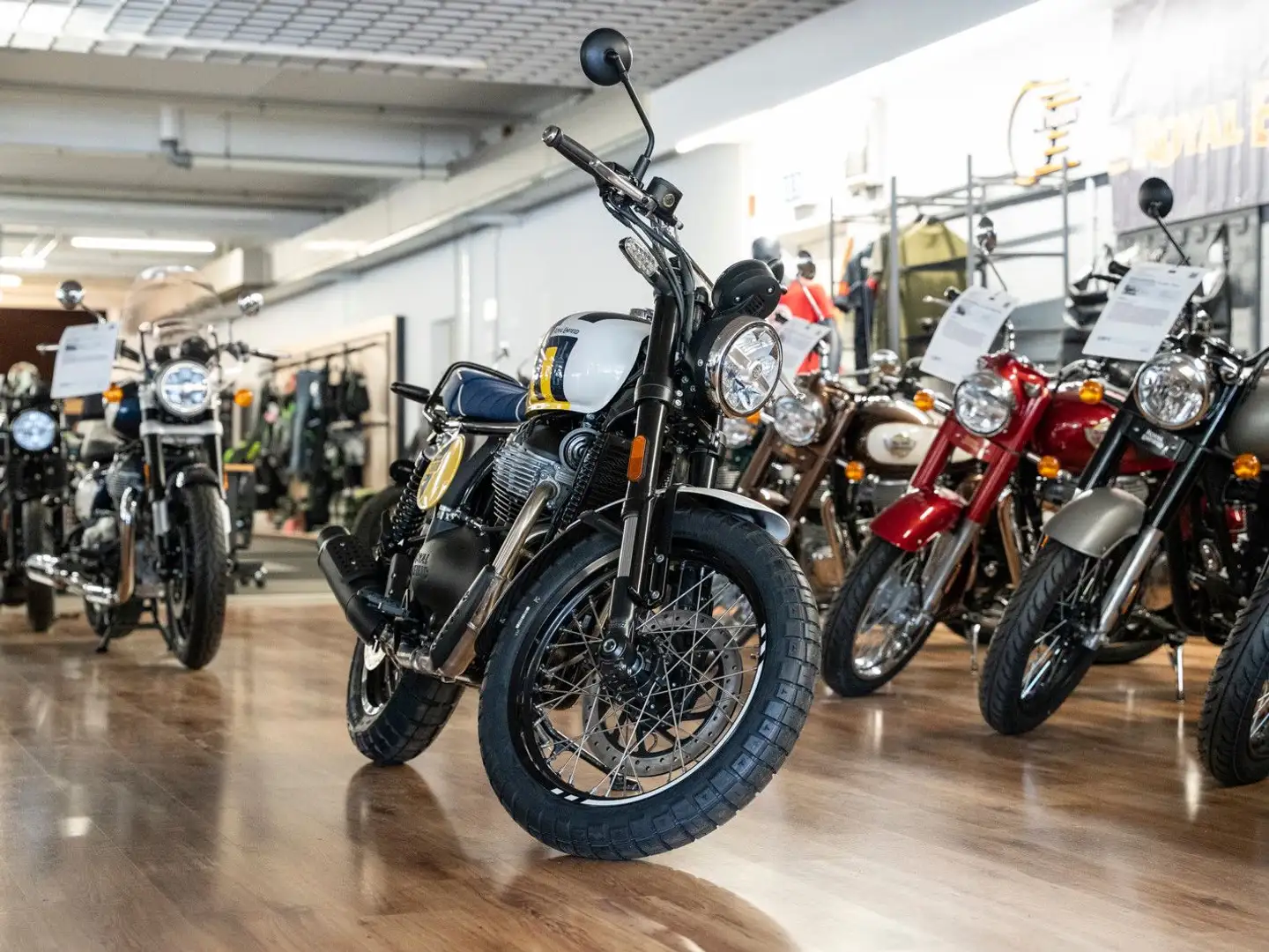 Royal Enfield Bear 650 Lieferservice, sofort lieferbar Galben - 2