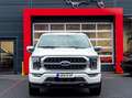 Ford F 150 Platinum 3,5l LPG,Abdeckung Weiß - thumbnail 3