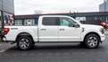 Ford F 150 Platinum 3,5l LPG,Abdeckung Weiß - thumbnail 9