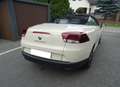 Renault Megane Megane 2.0 140 CVT Coupe-CabrioletFloride Collecti - thumbnail 4