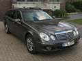 Mercedes-Benz E 280 E 280 T CDI Elegance DPF - thumbnail 7