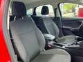 Ford Focus 1.0 EcoBoost, Klimaauto, Serviceheft, Erstbesitz Rot - thumbnail 9