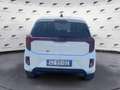 Kia Picanto 1.2 12V 5 porte AMT Style Bianco - thumbnail 8