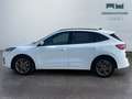 Ford Kuga III 2020 - Kuga 2.0 ecoblue mhev ST-Line 2wd 150cv Bianco - thumbnail 8