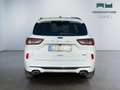 Ford Kuga III 2020 - Kuga 2.0 ecoblue mhev ST-Line 2wd 150cv Bianco - thumbnail 6
